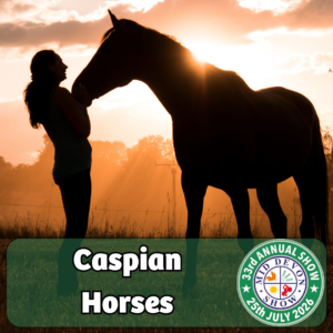 Caspian Horses (2)