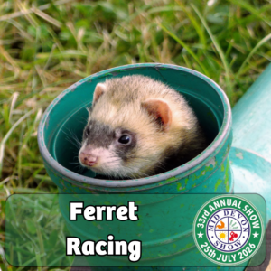 Ferret Racing (1)