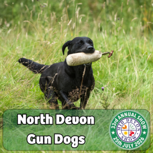 North Devon Gun Dogs (1)