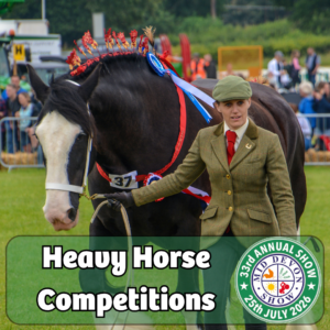 Main Ring - Heavy Horses