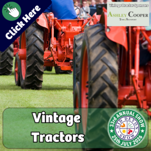 Vintage Tractors (4)